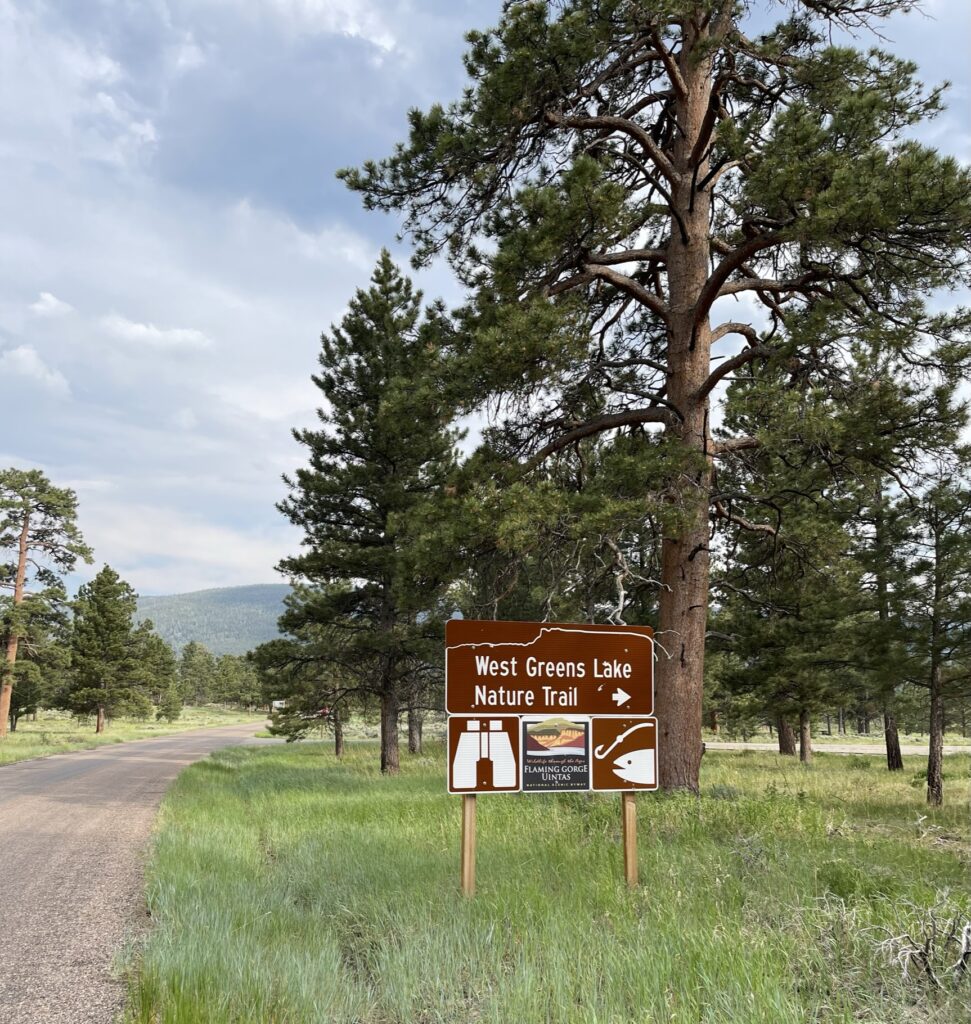 A Sign Displaying the Words “Wet Green Meadow” in Clear, Bold Letters Against a Natural Background.